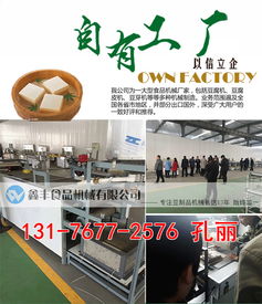 河南商丘豆腐皮機采購指南 廠家直銷、商用價格與購買渠道