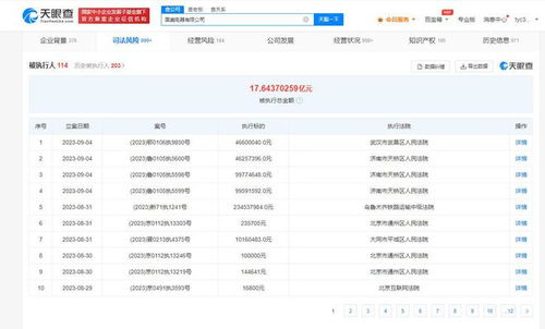 國美電器新增多條被執行人信息，被執行總金額超17億元